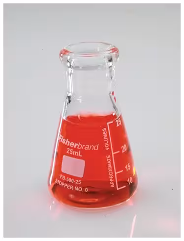 Erlenmeyer 250 ml col étroit à bec renforcé paroi épaisse verre borosillicaté 3.3 gradué ASTM x 12