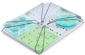 Harnais universelle pour 4 microplaques