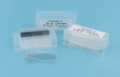 Lamelle 18 x 24 mm no 1 x 1000