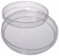 Boîte de Pétri Ø 90 mm hauteur 16,2 mm sans ergot x 480
