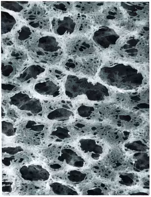 Membrane nylon 0,45 µm 47 mm x 100