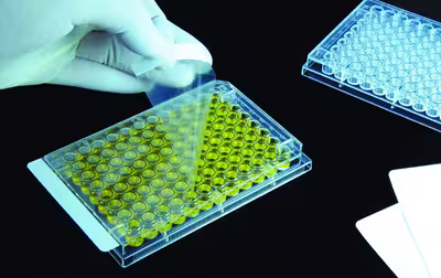 Film polyester pour elisa stérile x 100