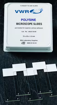 Polysine bords rodés 90° x 72