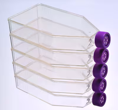 Flacon cc 75 cm² cape filtrante stérile x 100