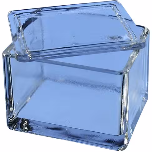 Cuve verre avec couvercle