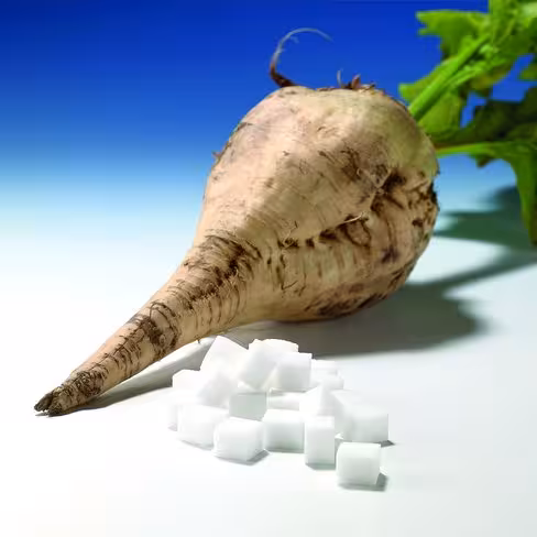 Filtre plié sucre betterave Ø 215 mm x 250