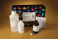 Supersignal west pico comple mouse