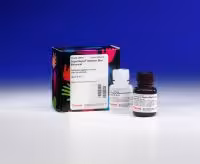 Supersignal west blot enhancer