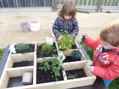 Carré potager Wiki Cat' - 8 compartiments - l. 100 x p. 80 x h. 49,5 cm - pin/bouleau - sur piétement - h. plateau 38 cm