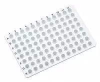 Plaque pour qPCR à demi jupe blanc x 100