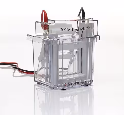 Cuve d électrophorèse xcell surelock mini-cell