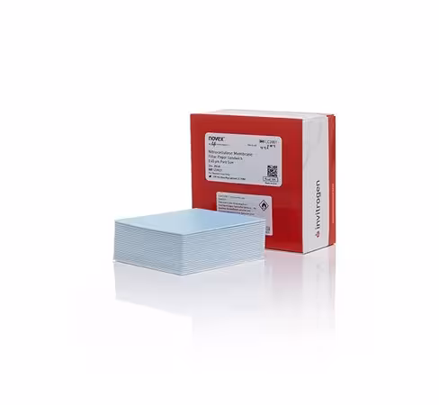 Membrane de nitrocellulose pour transfert pré-découpées porosité de 0,45 µm x 20