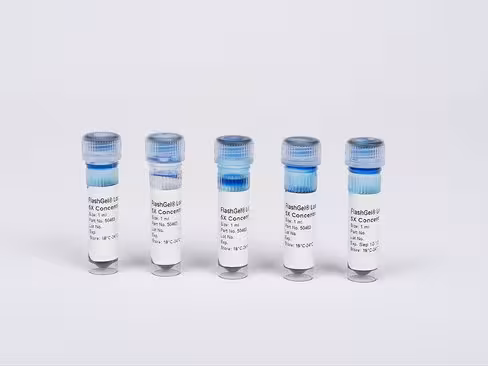 DNA Loading Buffer 6X 5 x 1 ml