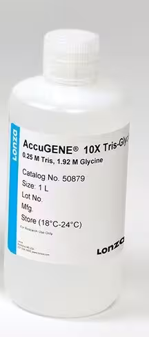 ACCUGENE 10x tris glycine 1 l