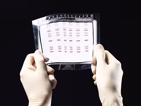 Film GelBond 125 mm x 245 mm x 100 feuilles