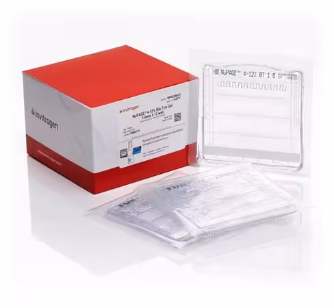Gel NUPAGE 4 - 12% bis-tris mini 1 mm 12 puits x 10