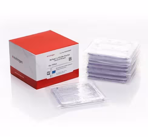 Gel NUPAGE 4 - 12% bis-tris zoom mini puit ipg 1 mm x 10