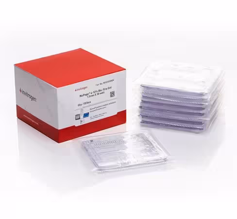 Gel NUPAGE 4 - 12% bis-tris mini 1,5 mm 10 puits x 10