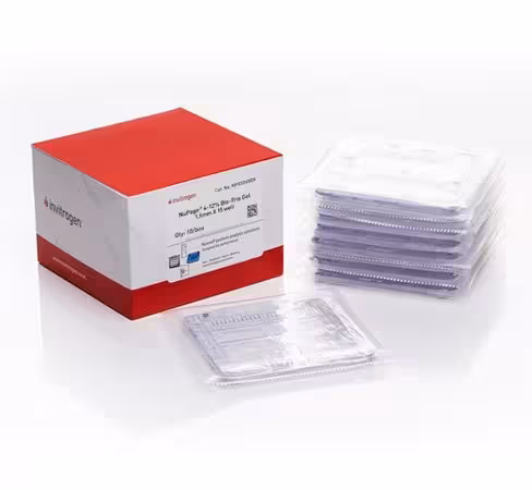 Gel NUPAGE 4 - 12% bis tris mini 1,5 mm 15 puits x 10