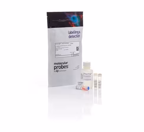 QUBIT dsdna br assay kit x 100