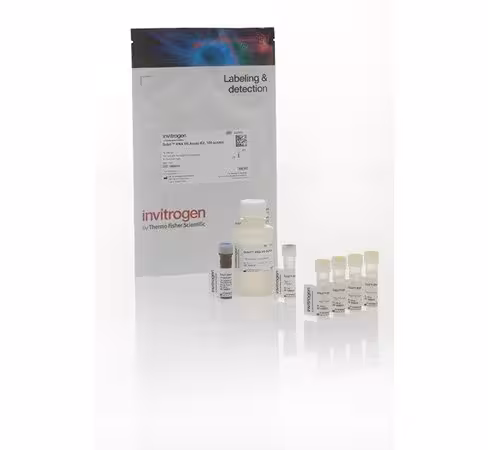QUBIT rna assay kit x 100
