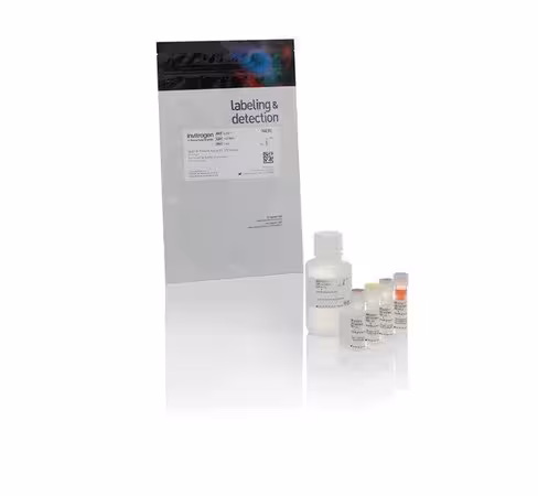 QUBIT protein assay kit x 100