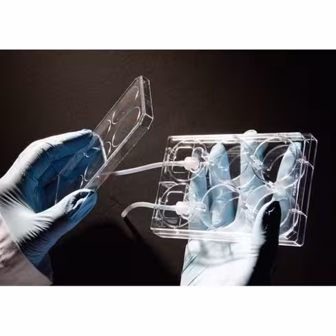 Perfusion plates and Insert 12 puitss