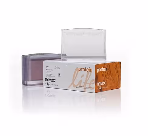 Cassette vide midi 1 mm avec peigne 12+2 puits x 10