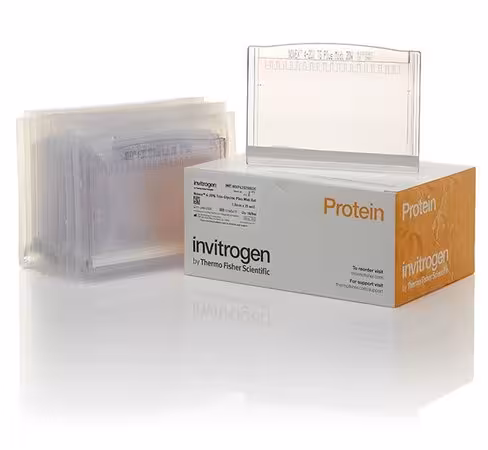 Gel NOVEX 4-20% tris-glycine plus midi 1 mm 26 puits x 10