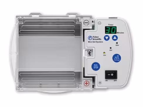 Système d électrophorèse compact Fisherbrand