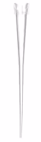 Pointe fisherbrand sureone low retention 0,1-10 µl xl, cristal, non stérile, vrac x 1000