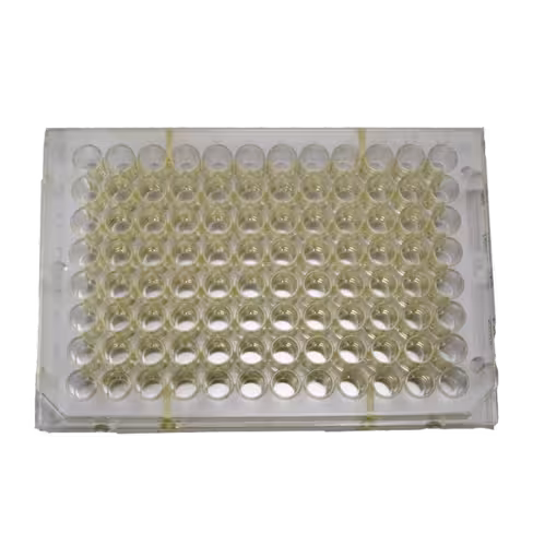 Microplaque Jaunes Delfia x 60