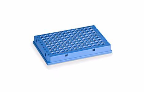 Plaque PCR 384 puits HARDSHELL Bleues x 50