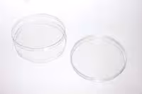 Boîte tc 150 x 20 mm PS traité x 120