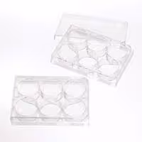 Plaque 6 puits PS traité x 50