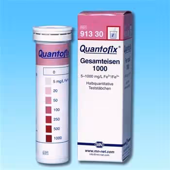 Languette QUANTOFIX Fer total, 6 x 95 mm x 1000