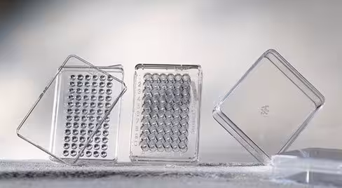 Test NANOCOLOR Plomb sans CCL4