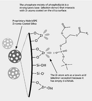 Plaque 50 mg/96-well hybridspe-phospholipid x 20