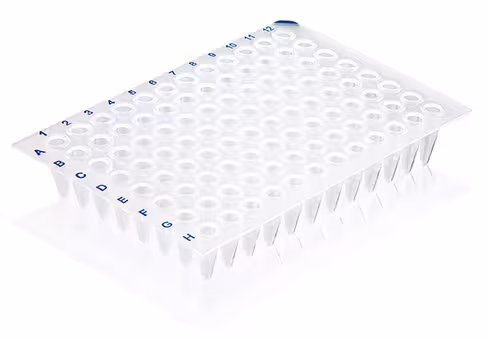 Plaque pcr incolore 96 puits sans cadre low profile x 50