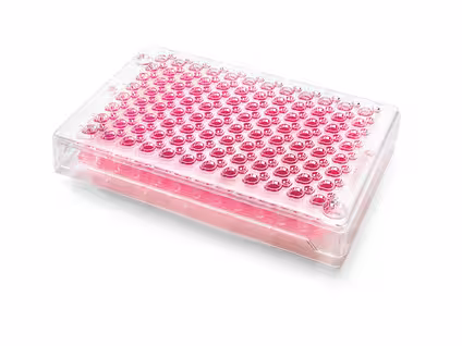 Millicell-96 cell culture insert plate pc 0,4 µm