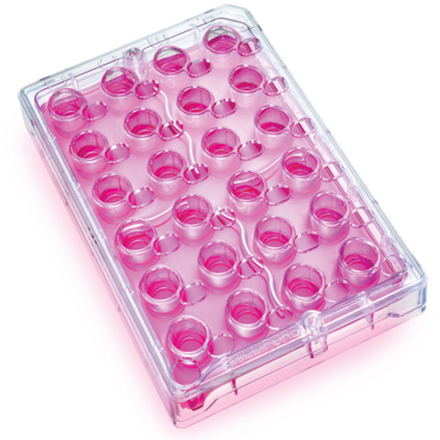Millicell-24 cell culture insert plate pe terephthalate 1,0 µm