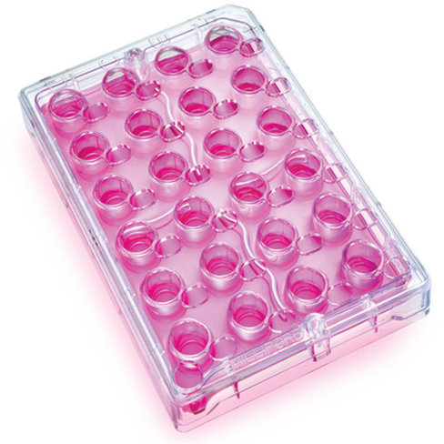 Millicell-24 cell culture insert plate pe terephthalate 1,0 µm