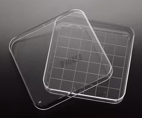 Plaque Pétri 100 x 15 mm 10 ml carré gril stérile x 500