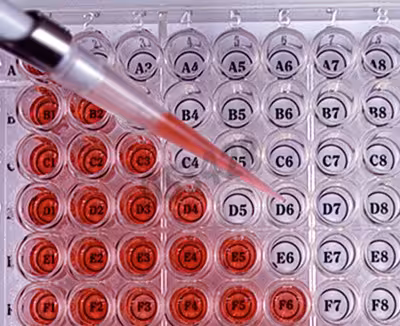 Feuillet grille 48 puits x 50