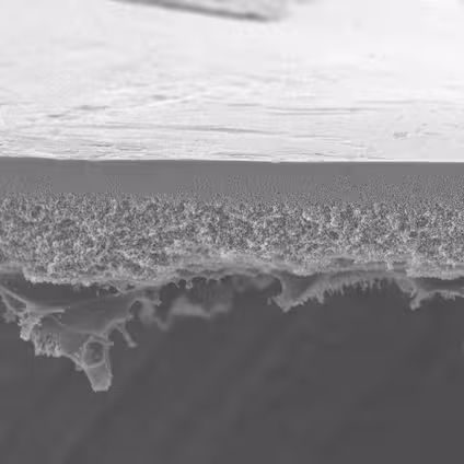 Membrane ultrafiltration pbqk biomax pes 50 kda 44,5 mm x 10