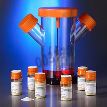 Microcarriers Corning non traité, 1 vial 10g x 1 x 1