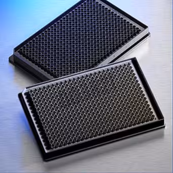 Microplaque 384 puits low noir plat non stérile x 50