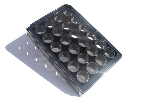 Plaque 24 cristal blanc fond clair tc x 56