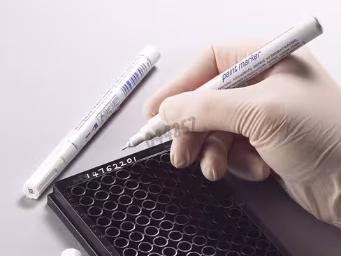 Stylo blanc indélébile pour marquage sur plaques noires, pointe fine 4ti-0394
