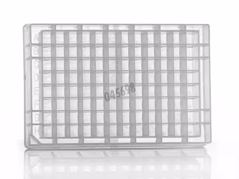 Plaque deepwell 96 puits carrés 2 ml fond V x 50